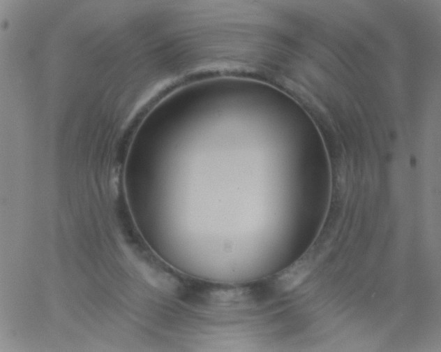 X0000061750160200512231534