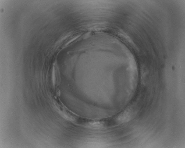 X0000061750161200512231534