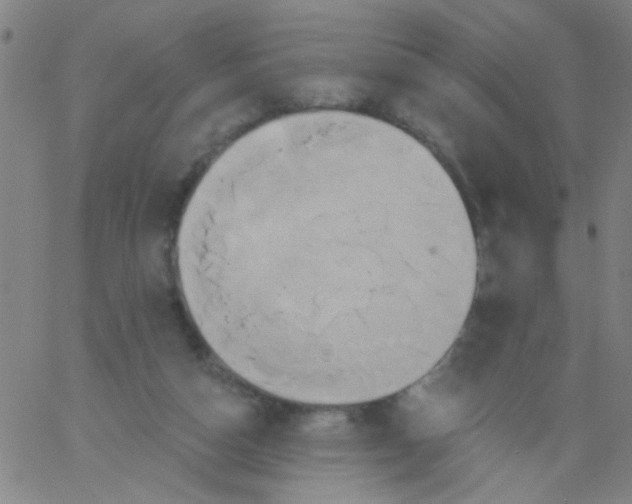 X0000061750162200512231534