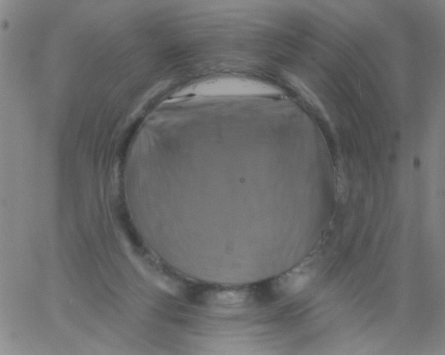 X0000061750163200512231534