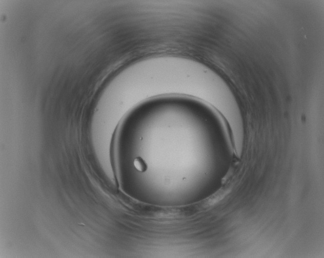 X0000061750164200512231534