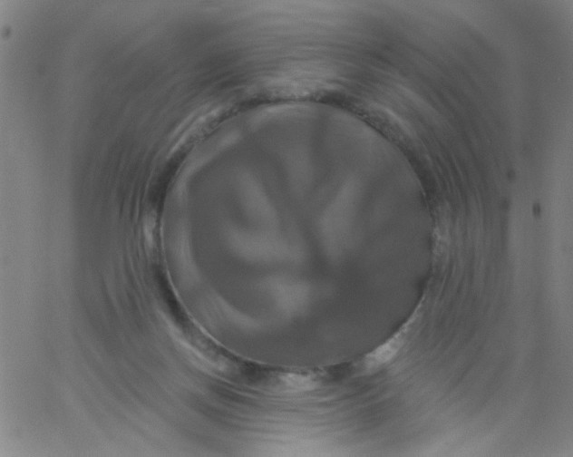 X0000061750166200512231534