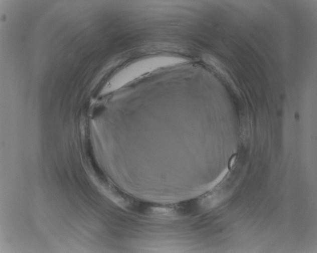 X0000061750167200512231534