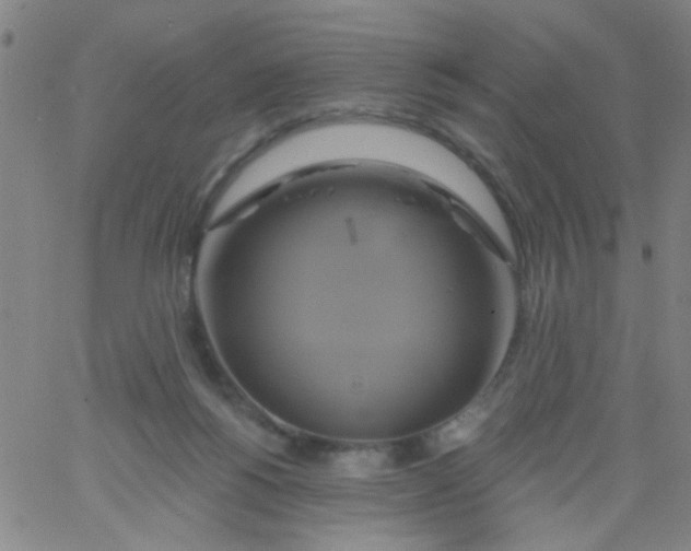 X0000061750168200512231534