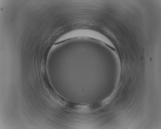 X0000061750170200512231535