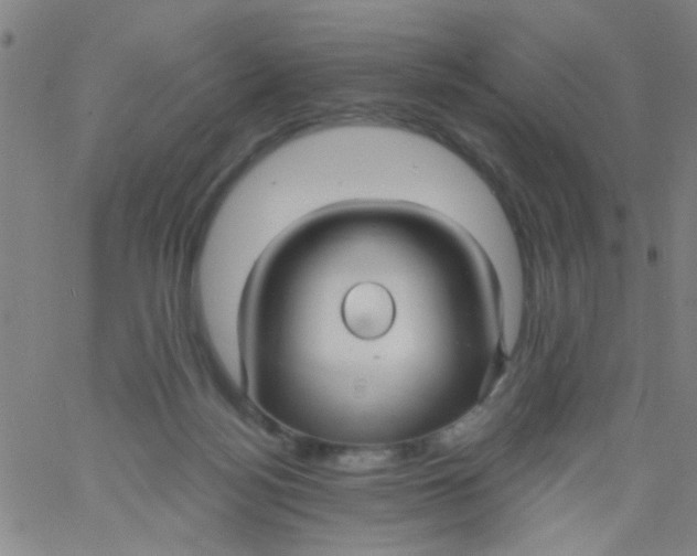 X0000061750172200512231535