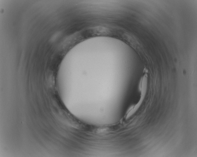 X0000061750173200512231535