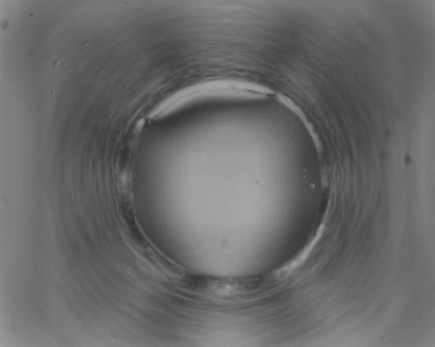 X0000061750174200512231535