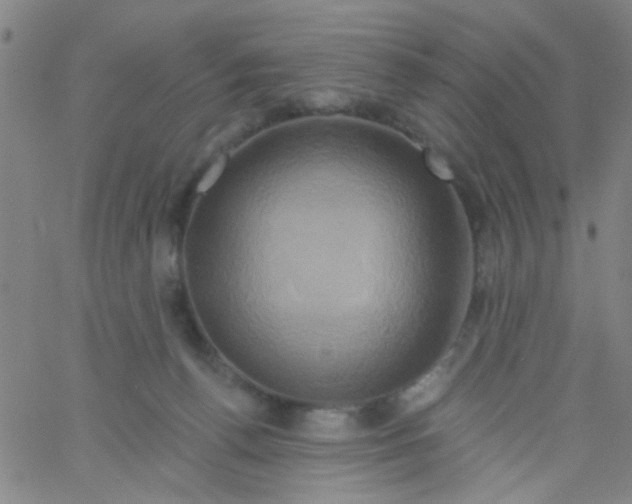 X0000061750176200512231535