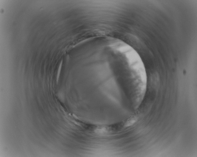 X0000061750177200512231535