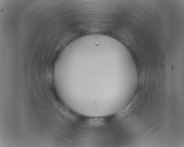 X0000061750179200512231535