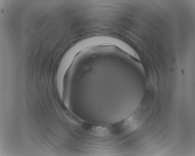 X0000061750180200512231535