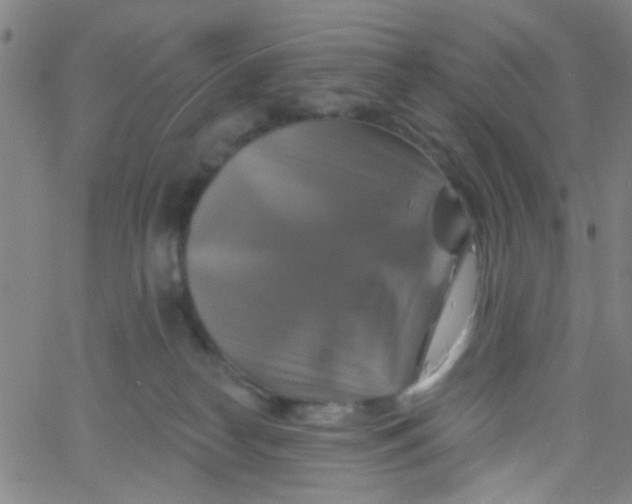 X0000061750182200512231535