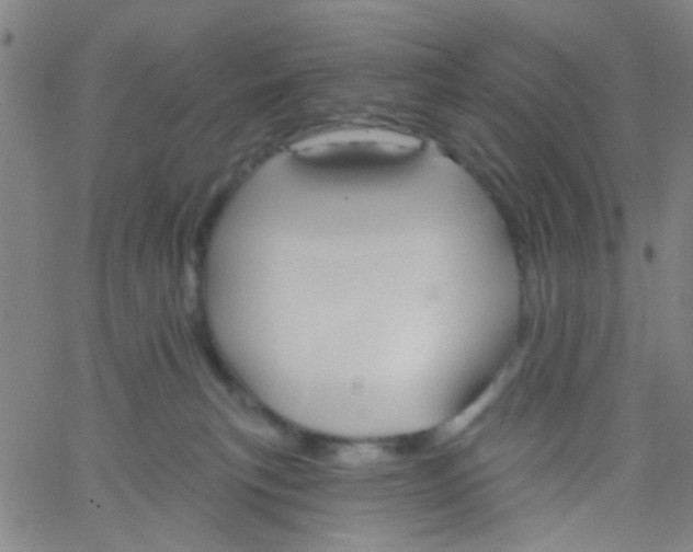 X0000061750183200512231535