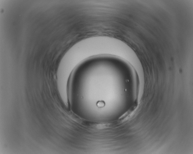 X0000061750184200512231535