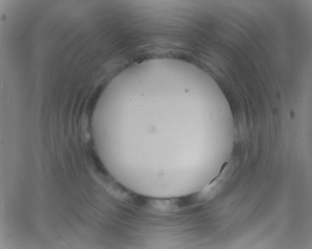 X0000061750187200512231535