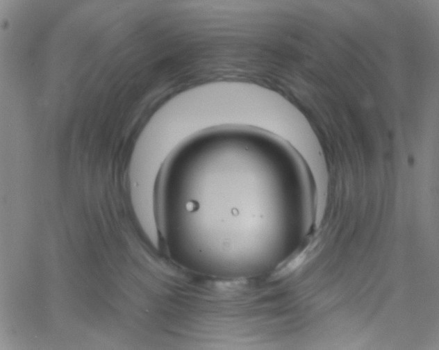 X0000061750188200512231535