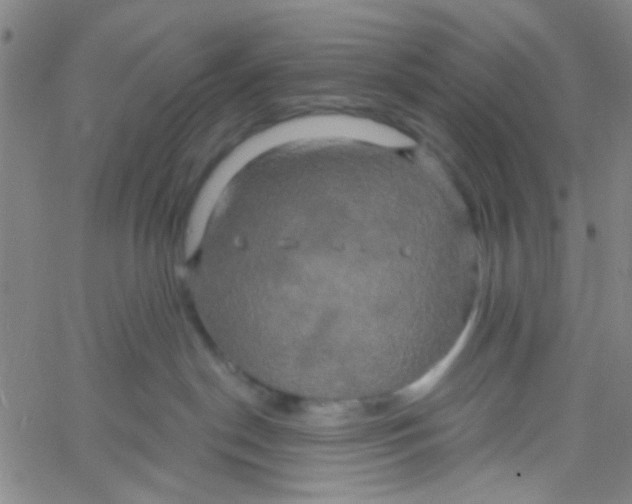 X0000061750190200512231535