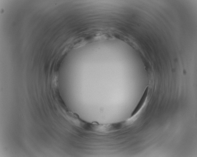 X0000061750191200512231535