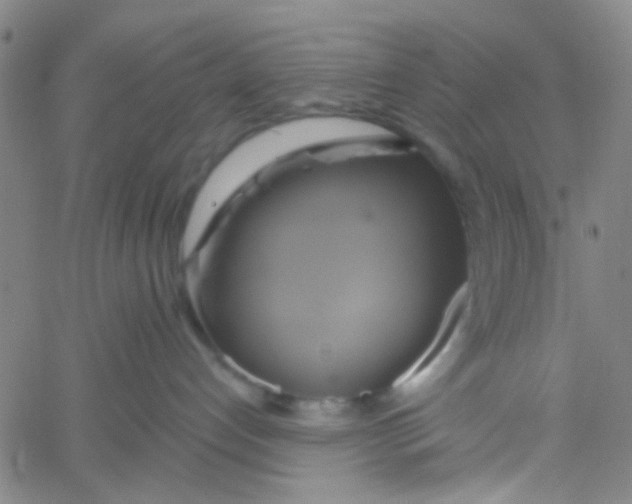 X0000061750192200512231535