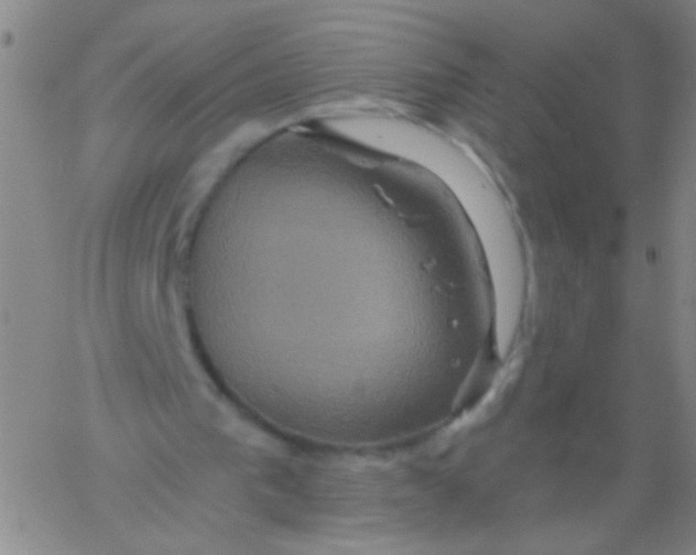 X0000061750193200512231534