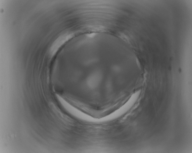 X0000061750194200512231534