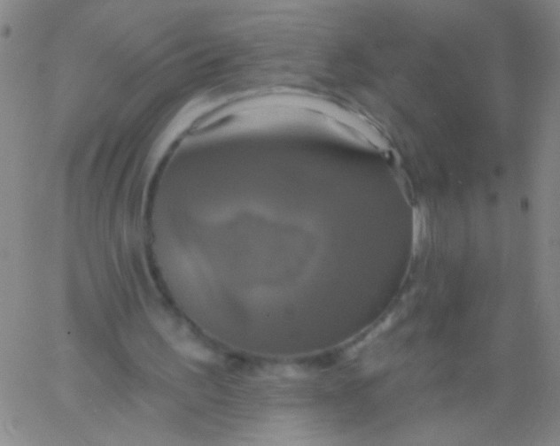 X0000061750195200512231534