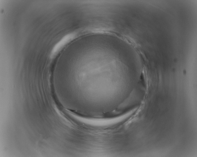 X0000061750197200512231534