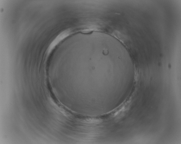 X0000061750198200512231534