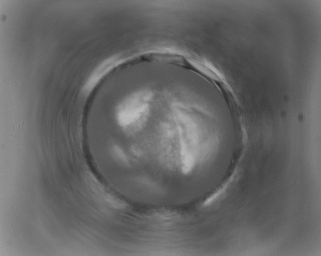 X0000061750199200512231534