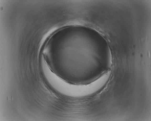 X0000061750200200512231534