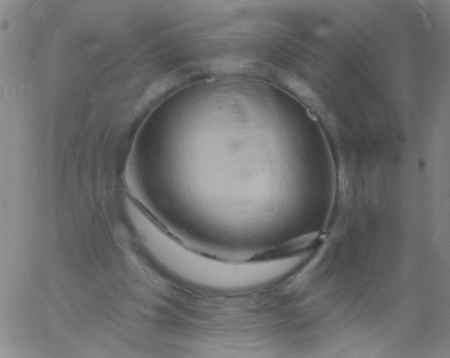 X0000061750201200512231534