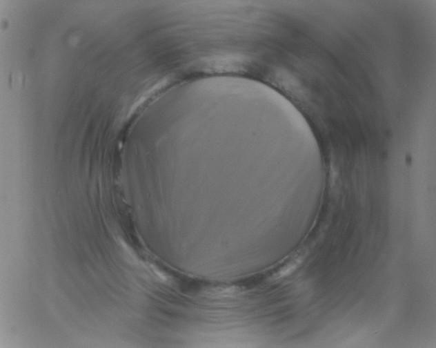 X0000061750202200512231534