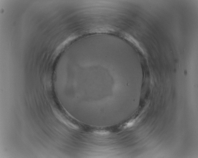 X0000061750203200512231534