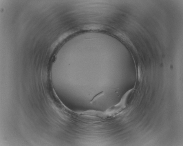 X0000061750204200512231534