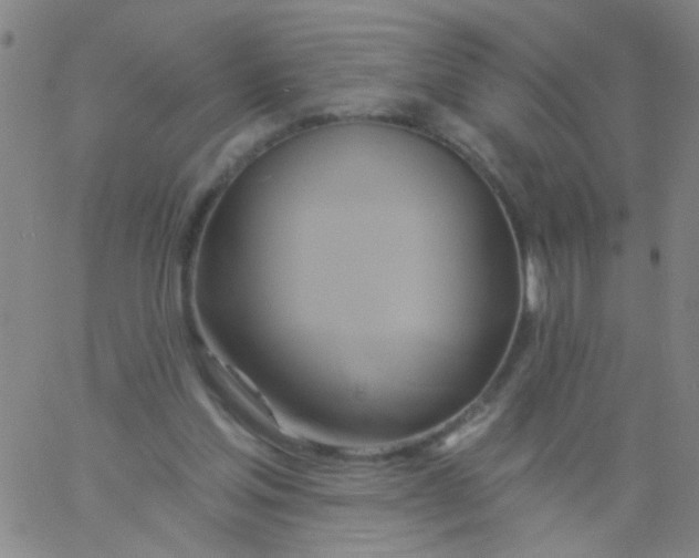 X0000061750205200512231534