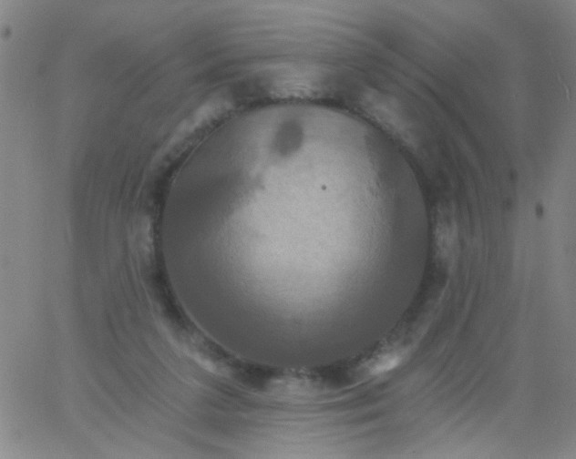 X0000061750211200512231534