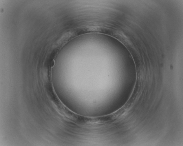 X0000061750213200512231534