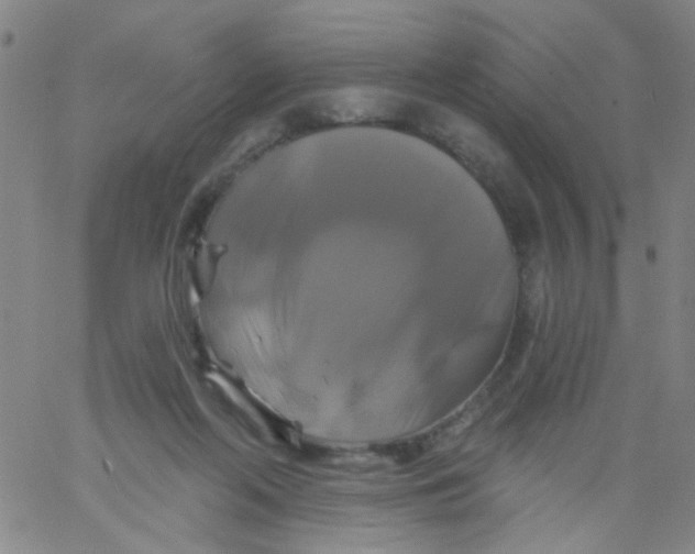 X0000061750214200512231534