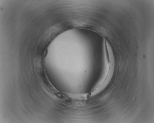 X0000061750215200512231534