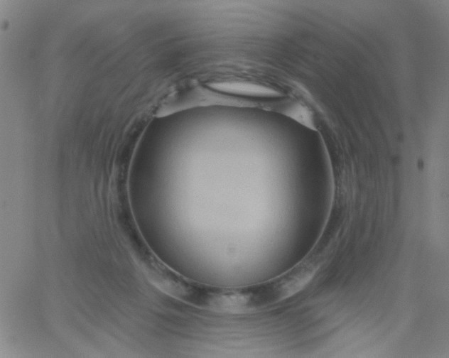 X0000061750217200512231534