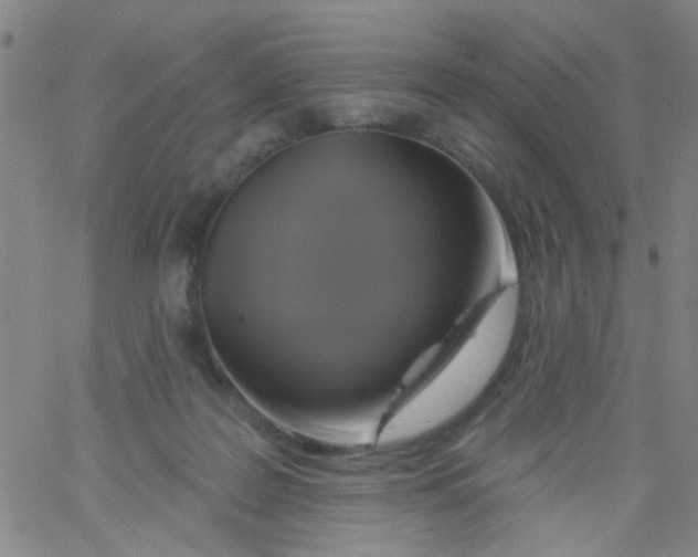 X0000061750219200512231534