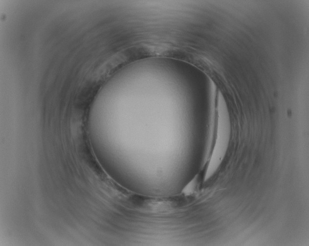 X0000061750221200512231534