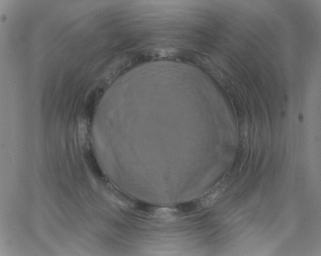 X0000061750222200512231534