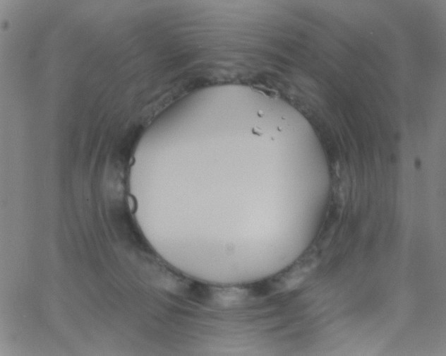 X0000061750226200512231534