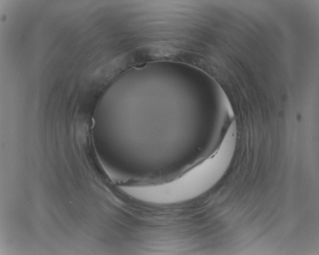 X0000061750227200512231534