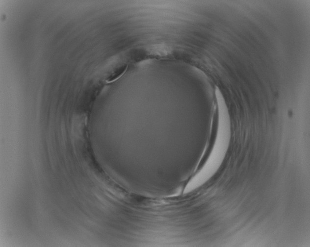 X0000061750229200512231533