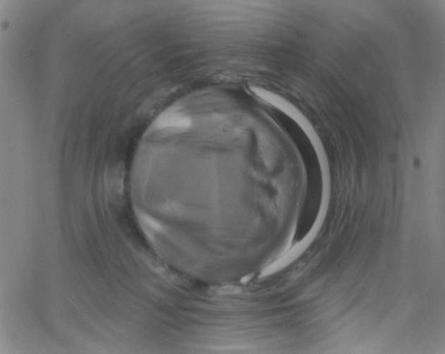 X0000061750230200512231533