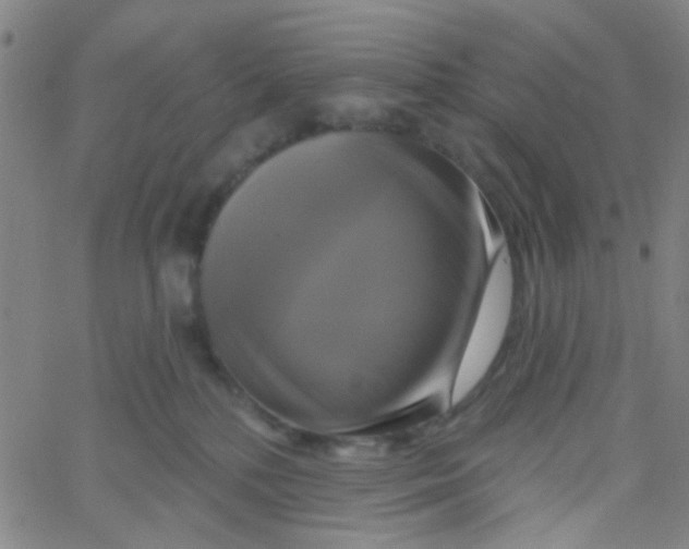 X0000061750232200512231533