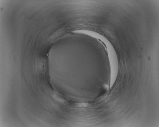 X0000061750233200512231533